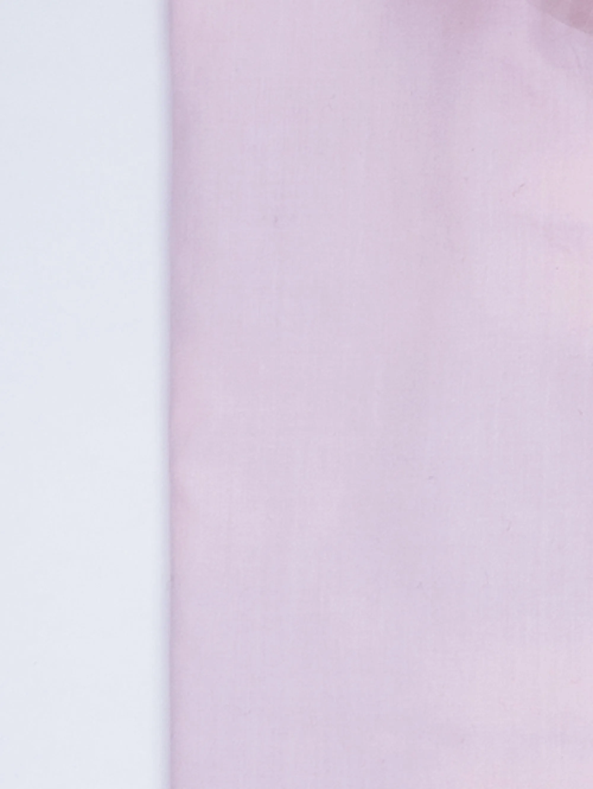 Camicia in Cotone Rosa
