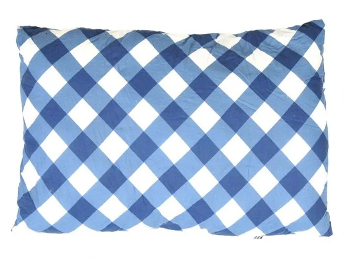 Wander Wonder cuscino blu